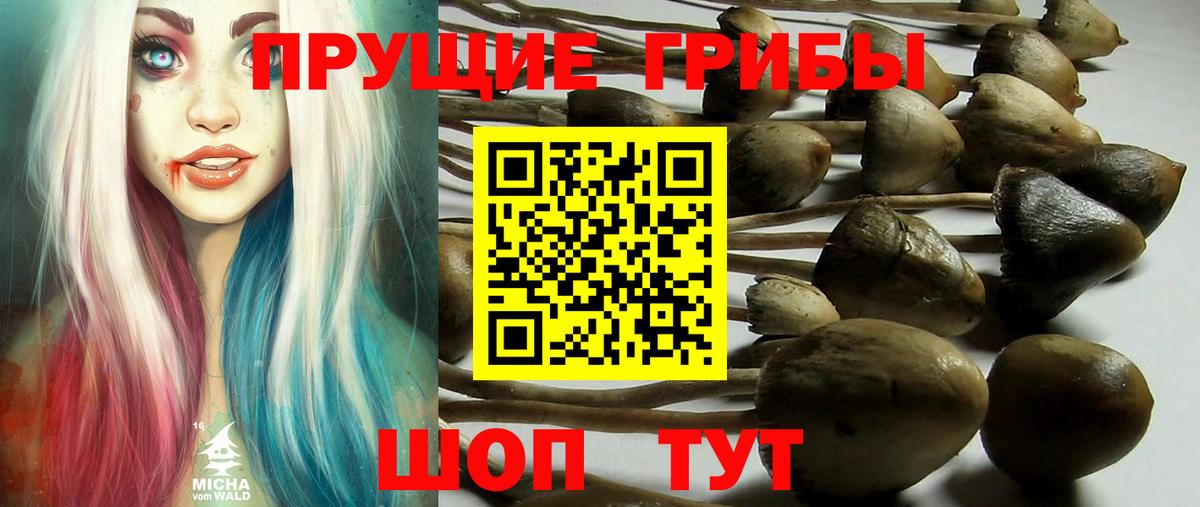 Галлюциногенные грибы Cubensis  Вход с VPN  Лиски  Галлюциногенные грибы Cubensis 