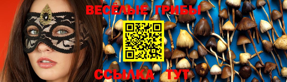 Псилоцибиновые грибы GOLDEN TEACHER Лиски